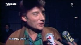 168. Johnny Hallyday – du 1er au 49ème album – 2015(1) vignette