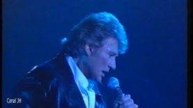 29. Johnny Hallyday – Fool for the blues – Cigale 1994 vignette