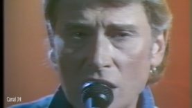 1001. Johnny Hallyday – Himalaya – 1990 vignette