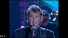 539. Johnny Hallyday – Dans un an un jour – 1992 vignette