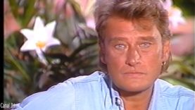 648-avis-de-recherche-mardi-1989-mp4 vignette