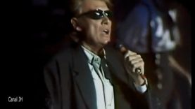 667-johnny-hallyday-rock-n-roll-attitude-bercy-1987-mp4 vignette