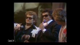 351-le-palmares-johnny-eddy-sylvie-etc-toute-la-musique-que-jaime-2-mp4 vignette