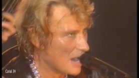 920-johnny-hallyday-be-bop-a-lula-bercy-1995-mp4 vignette