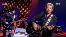 1072-johnny-hallyday-la-douceur-de-vivre-2011-mp4 vignette