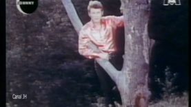 1112-johnny-hallyday-je-maccroche-a-mon-reve-nuit-m6-mp4 vignette