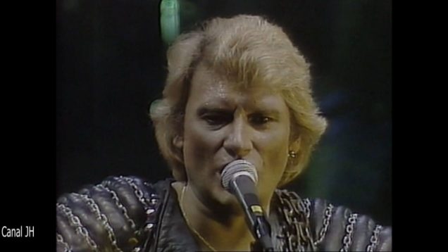 551a-johnny-hallyday-veau-dor-vaudou-palais-des-sports-82-1-concert-dvdrip-avc1-mp4 vignette